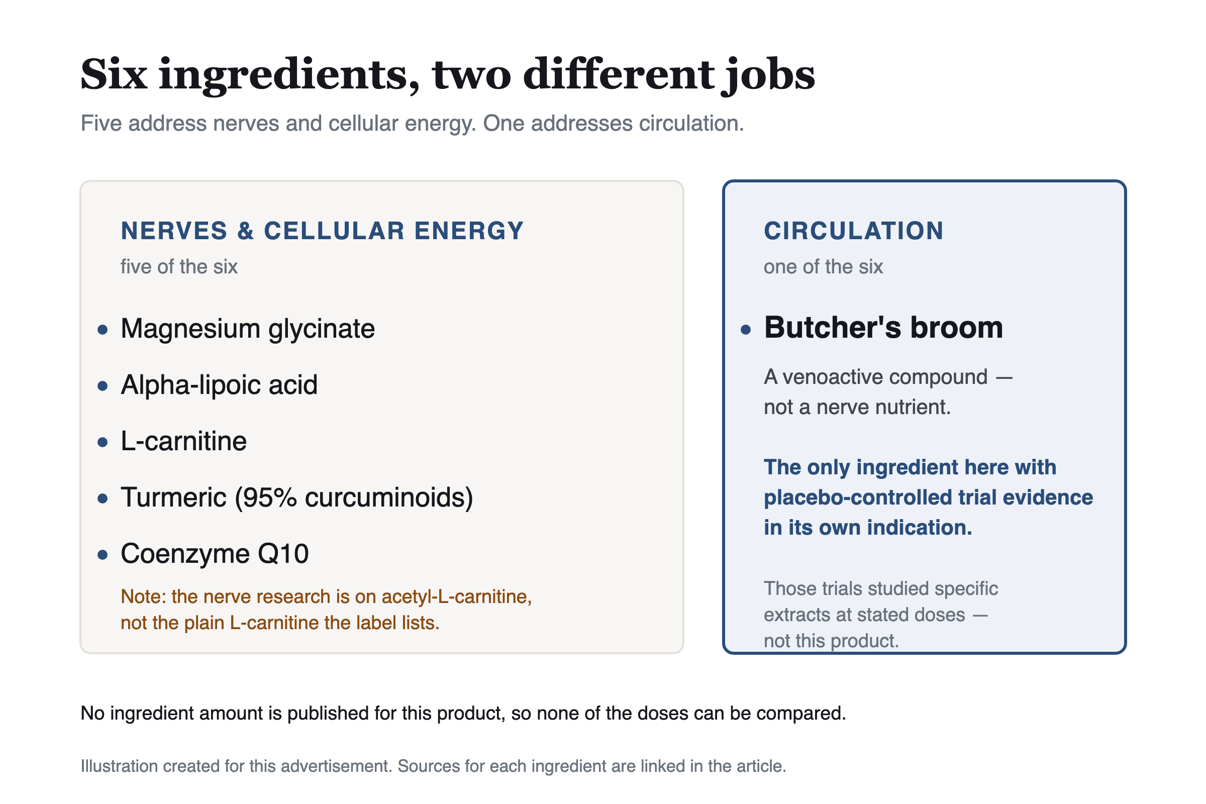 Diagram splitting the six ingredients into two groups: five under nerves and cellular energy, and butcher's broom alone under circulation.
